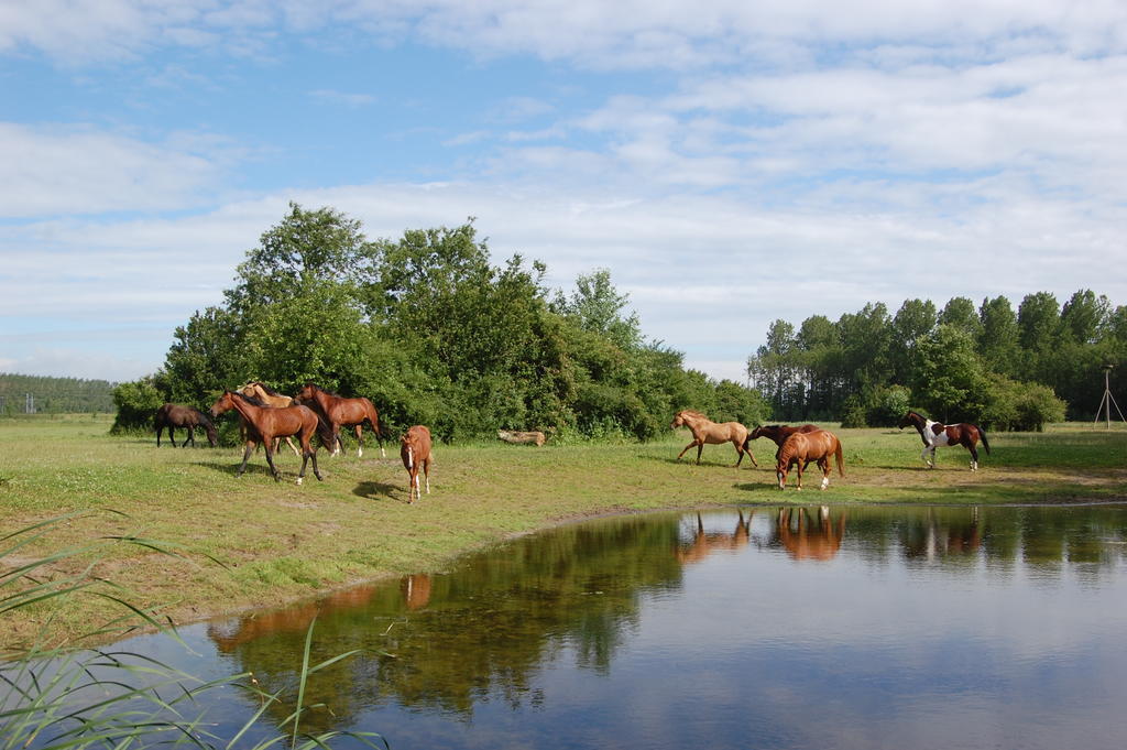 Lelymare Logies Lägenhet Lelystad Exteriör bild